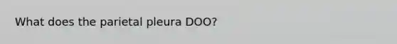 What does the parietal pleura DOO?