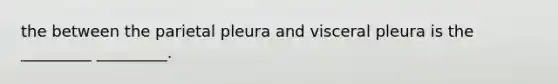 the between the parietal pleura and visceral pleura is the _________ _________.