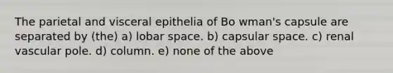 The parietal and visceral epithelia of Bo wman's capsule are separated by (the) a) lobar space. b) capsular space. c) renal vascular pole. d) column. e) none of the above