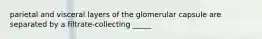 parietal and visceral layers of the glomerular capsule are separated by a filtrate-collecting _____