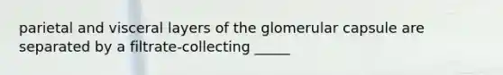 parietal and visceral layers of the glomerular capsule are separated by a filtrate-collecting _____