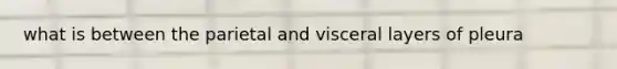 what is between the parietal and visceral layers of pleura