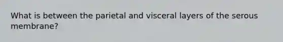 What is between the parietal and visceral layers of the serous membrane?