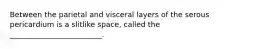 Between the parietal and visceral layers of the serous pericardium is a slitlike space, called the _________________________.