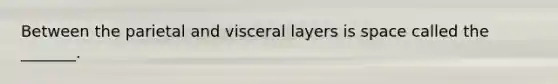 Between the parietal and visceral layers is space called the _______.