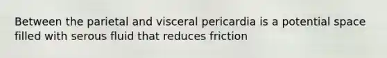 Between the parietal and visceral pericardia is a potential space filled with serous fluid that reduces friction