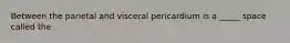 Between the parietal and visceral pericardium is a _____ space called the