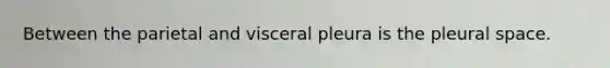 Between the parietal and visceral pleura is the pleural space.