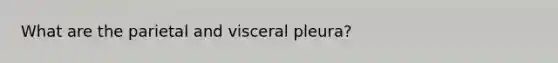 What are the parietal and visceral pleura?