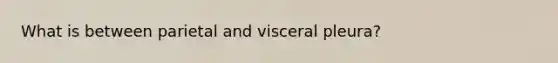 What is between parietal and visceral pleura?