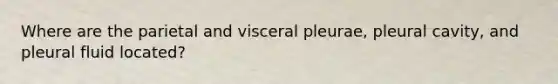 Where are the parietal and visceral pleurae, pleural cavity, and pleural fluid located?