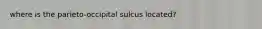 where is the parieto-occipital sulcus located?