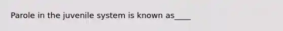 Parole in the juvenile system is known as____