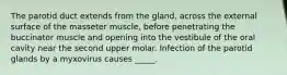 The parotid duct extends from the gland, across the external surface of the masseter muscle, before penetrating the buccinator muscle and opening into the vestibule of the oral cavity near the second upper molar. Infection of the parotid glands by a myxovirus causes _____.