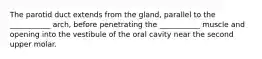 The parotid duct extends from the gland, parallel to the ___________ arch, before penetrating the ___________ muscle and opening into the vestibule of the oral cavity near the second upper molar.