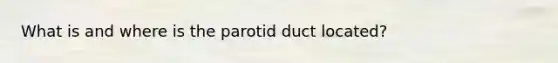 What is and where is the parotid duct located?