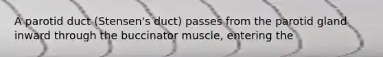 A parotid duct (Stensen's duct) passes from the parotid gland inward through the buccinator muscle, entering the