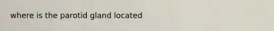 where is the parotid gland located