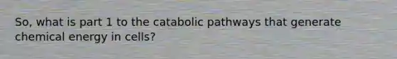 So, what is part 1 to the catabolic pathways that generate chemical energy in cells?