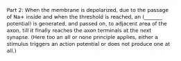 Part 2: When the membrane is depolarized, due to the passage of Na+ inside and when the threshold is reached, an (_______ potential) is generated, and passed on, to adjacent area of the axon, till it finally reaches the axon terminals at the next synapse. (Here too an all or none principle applies, either a stimulus triggers an action potential or does not produce one at all.)