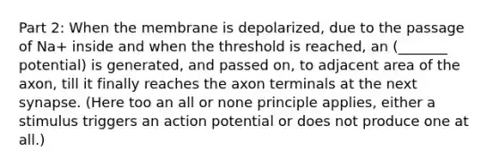 Part 2: When the membrane is depolarized, due to the passage of Na+ inside and when the threshold is reached, an (_______ potential) is generated, and passed on, to adjacent area of the axon, till it finally reaches the axon terminals at the next synapse. (Here too an all or none principle applies, either a stimulus triggers an action potential or does not produce one at all.)