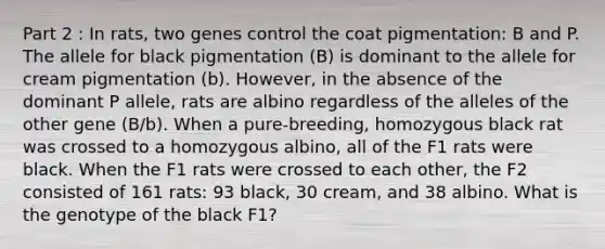 Part 2 : In rats, two genes control the coat pigmentation: B and P. The allele for black pigmentation (B) is dominant to the allele for cream pigmentation (b). However, in the absence of the dominant P allele, rats are albino regardless of the alleles of the other gene (B/b). When a pure-breeding, homozygous black rat was crossed to a homozygous albino, all of the F1 rats were black. When the F1 rats were crossed to each other, the F2 consisted of 161 rats: 93 black, 30 cream, and 38 albino. What is the genotype of the black F1?