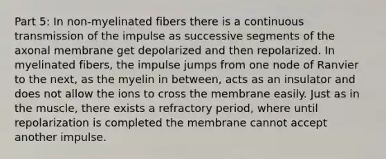 Part 5: In non-myelinated fibers there is a continuous transmission of the impulse as successive segments of the axonal membrane get depolarized and then repolarized. In myelinated fibers, the impulse jumps from one node of Ranvier to the next, as the myelin in between, acts as an insulator and does not allow the ions to cross the membrane easily. Just as in the muscle, there exists a refractory period, where until repolarization is completed the membrane cannot accept another impulse.