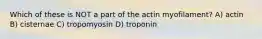 Which of these is NOT a part of the actin myofilament? A) actin B) cisternae C) tropomyosin D) troponin