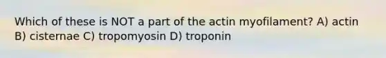 Which of these is NOT a part of the actin myofilament? A) actin B) cisternae C) tropomyosin D) troponin