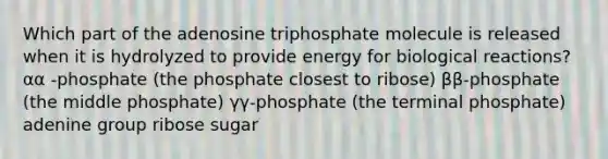 Which part of the adenosine triphosphate molecule is released when it is hydrolyzed to provide energy for biological reactions? αα -phosphate (the phosphate closest to ribose) ββ-phosphate (the middle phosphate) γγ-phosphate (the terminal phosphate) adenine group ribose sugar