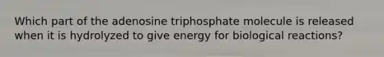 Which part of the adenosine triphosphate molecule is released when it is hydrolyzed to give energy for biological reactions?