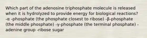 Which part of the adenosine triphosphate molecule is released when it is hydrolyzed to provide energy for biological reactions? -α -phosphate (the phosphate closest to ribose) -β-phosphate (the middle phosphate) -γ-phosphate (the terminal phosphate) -adenine group -ribose sugar