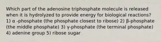 Which part of the adenosine triphosphate molecule is released when it is hydrolyzed to provide energy for biological reactions? 1) α -phosphate (the phosphate closest to ribose) 2) β-phosphate (the middle phosphate) 3) γ-phosphate (the terminal phosphate) 4) adenine group 5) ribose sugar