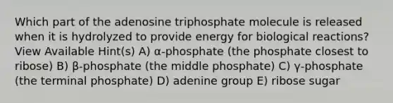 Which part of the adenosine triphosphate molecule is released when it is hydrolyzed to provide energy for biological reactions? View Available Hint(s) A) α-phosphate (the phosphate closest to ribose) B) β-phosphate (the middle phosphate) C) γ-phosphate (the terminal phosphate) D) adenine group E) ribose sugar