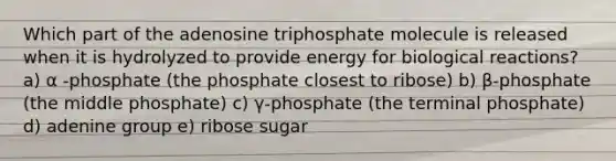 Which part of the adenosine triphosphate molecule is released when it is hydrolyzed to provide energy for biological reactions? a) α -phosphate (the phosphate closest to ribose) b) β-phosphate (the middle phosphate) c) γ-phosphate (the terminal phosphate) d) adenine group e) ribose sugar