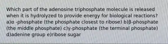 Which part of the adenosine triphosphate molecule is released when it is hydrolyzed to provide energy for biological reactions? a)α -phosphate (the phosphate closest to ribose) b)β-phosphate (the middle phosphate) c)γ-phosphate (the terminal phosphate) d)adenine group e)ribose sugar