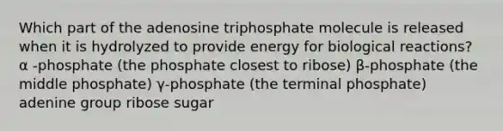 Which part of the adenosine triphosphate molecule is released when it is hydrolyzed to provide energy for biological reactions? α -phosphate (the phosphate closest to ribose) β-phosphate (the middle phosphate) γ-phosphate (the terminal phosphate) adenine group ribose sugar