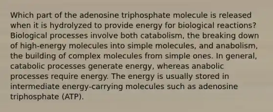 Which part of the adenosine triphosphate molecule is released when it is hydrolyzed to provide energy for biological reactions? Biological processes involve both catabolism, the breaking down of high-energy molecules into simple molecules, and anabolism, the building of complex molecules from simple ones. In general, catabolic processes generate energy, whereas anabolic processes require energy. The energy is usually stored in intermediate energy-carrying molecules such as adenosine triphosphate (ATP).