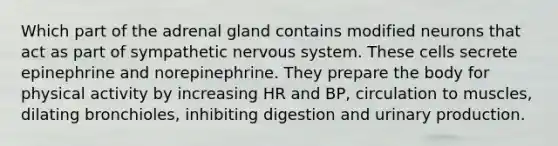 Which part of the adrenal gland contains modified neurons that act as part of sympathetic nervous system. These cells secrete epinephrine and norepinephrine. They prepare the body for physical activity by increasing HR and BP, circulation to muscles, dilating bronchioles, inhibiting digestion and urinary production.