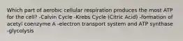 Which part of aerobic cellular respiration produces the most ATP for the cell? -Calvin Cycle -Krebs Cycle (Citric Acid) -formation of acetyl coenzyme A -electron transport system and ATP synthase -glycolysis