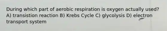 During which part of aerobic respiration is oxygen actually used? A) transistion reaction B) Krebs Cycle C) glycolysis D) electron transport system