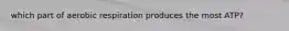 which part of aerobic respiration produces the most ATP?