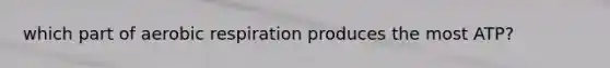 which part of aerobic respiration produces the most ATP?