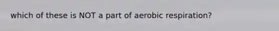 which of these is NOT a part of aerobic respiration?