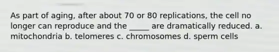 As part of aging, after about 70 or 80 replications, the cell no longer can reproduce and the _____ are dramatically reduced. a. mitochondria b. telomeres c. chromosomes d. sperm cells