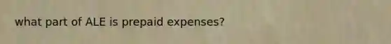 what part of ALE is prepaid expenses?