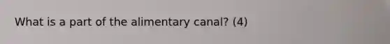 What is a part of the alimentary canal? (4)