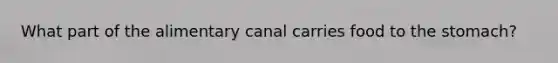 What part of the alimentary canal carries food to the stomach?