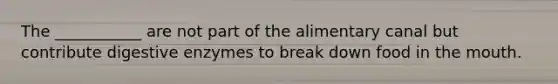 The ___________ are not part of the alimentary canal but contribute digestive enzymes to break down food in the mouth.