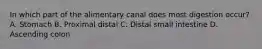In which part of the alimentary canal does most digestion occur? A. Stomach B. Proximal distal C. Distal small intestine D. Ascending colon